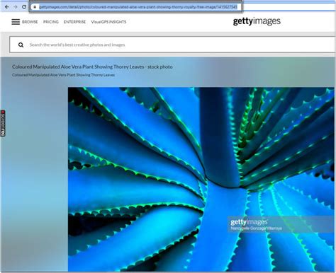 how to get photos from getty images without watermark|getty images full size downloader.